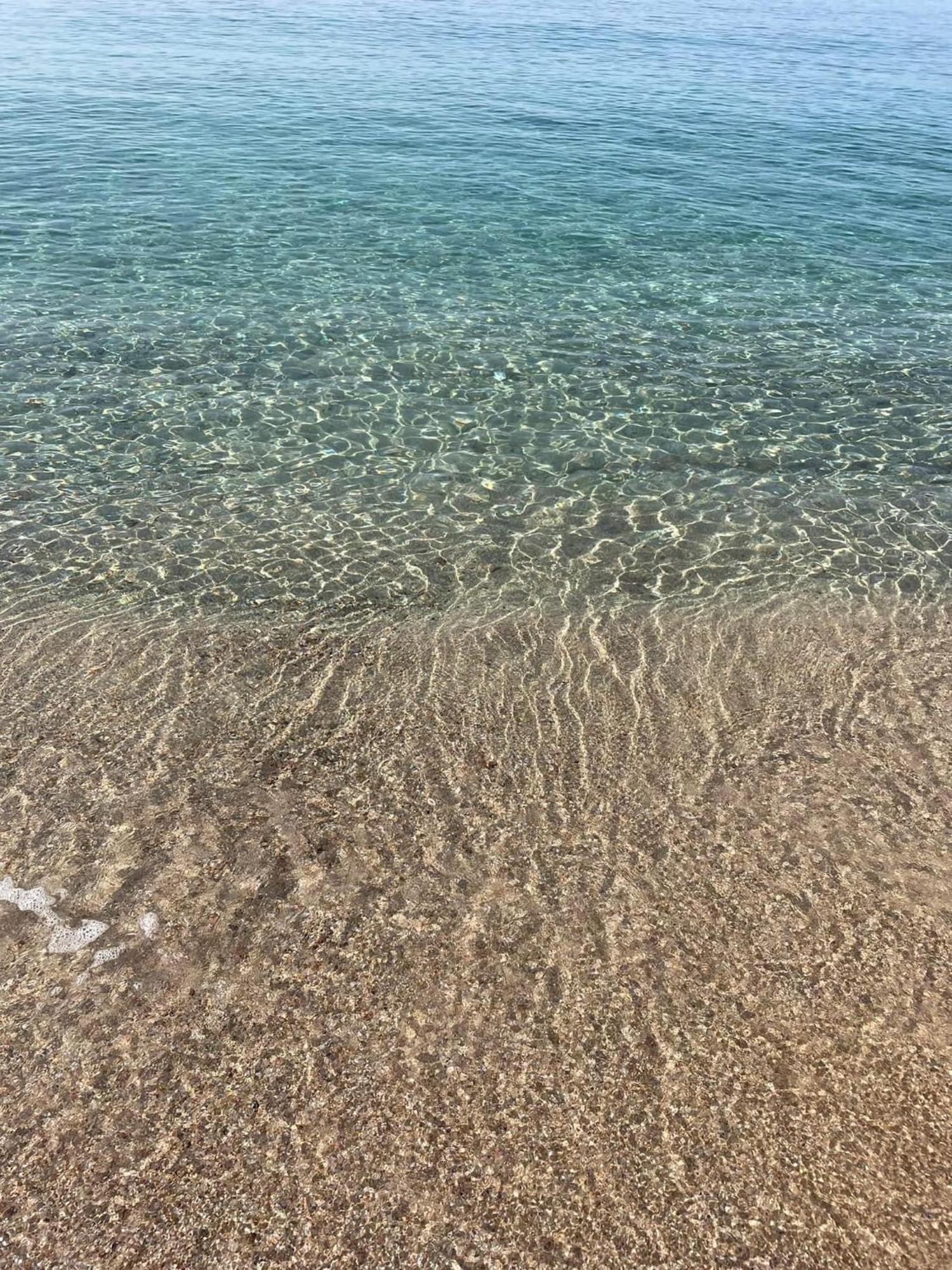 La Belle Vie F4 Bord De Plage Avec Jardin Calcatoggio  Esterno foto