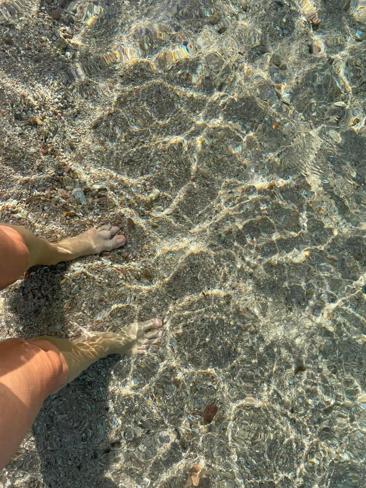 La Belle Vie F4 Bord De Plage Avec Jardin Calcatoggio  Esterno foto